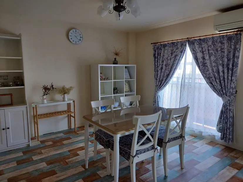 鈴木 紫乃の掲載