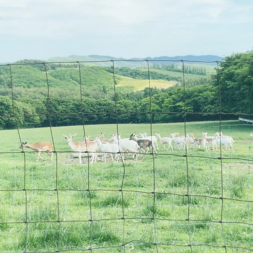 🥚 ユイ 🥚の掲載