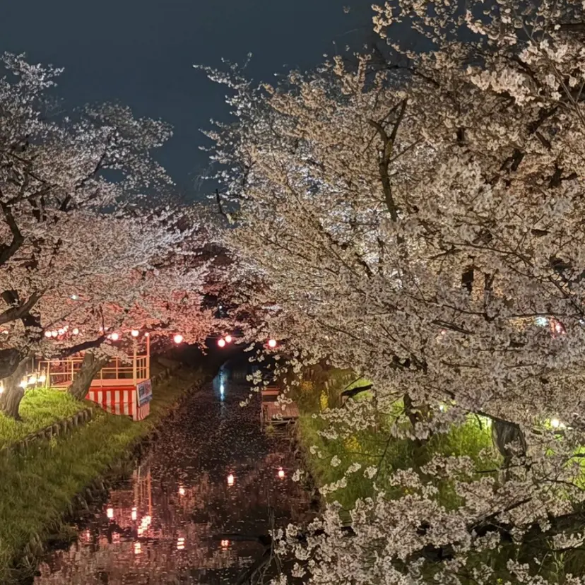 中塚 翔大の掲載