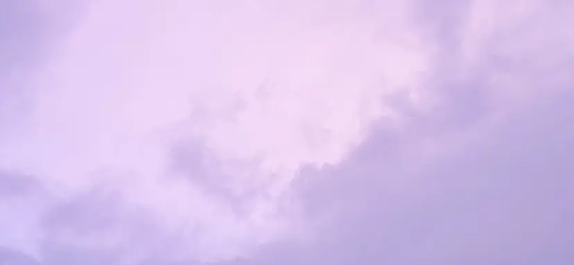 WINK DOLL 🌹MIRAIの掲載