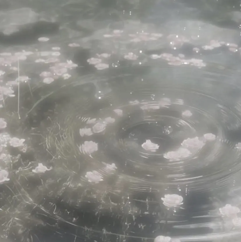 𝐾𝑎𝑒𝑑𝑒 ❤︎の掲載