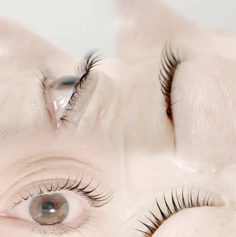 SENA セナの掲載