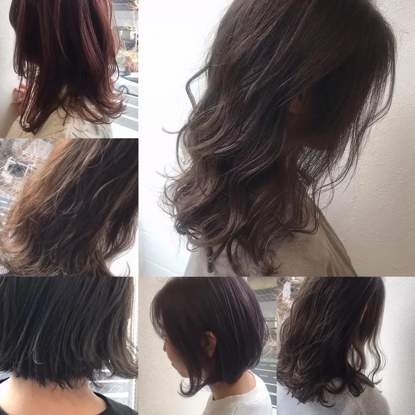 柴田 祐輔の掲載