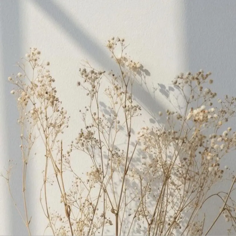 THE_Bつくば mikuの掲載