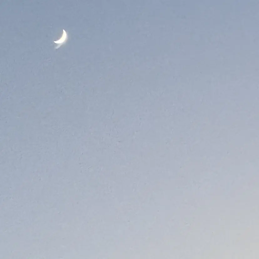 ﾍｱ×ｶﾌｪKUMA KOSMOの掲載