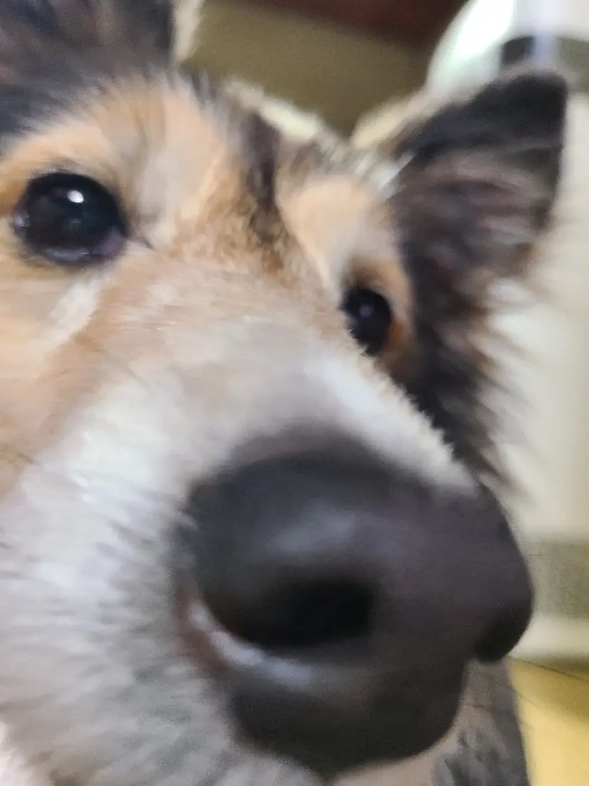 🎗️髪質改善・美髪 艶髪🥇小西邦生の掲載