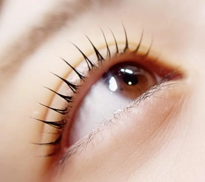 Anoa'n北千住 畠山菜緒の掲載