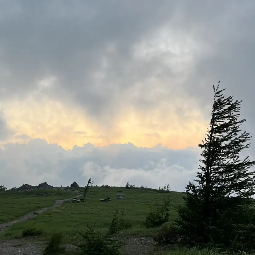 韓国ヘア 高野優真の掲載