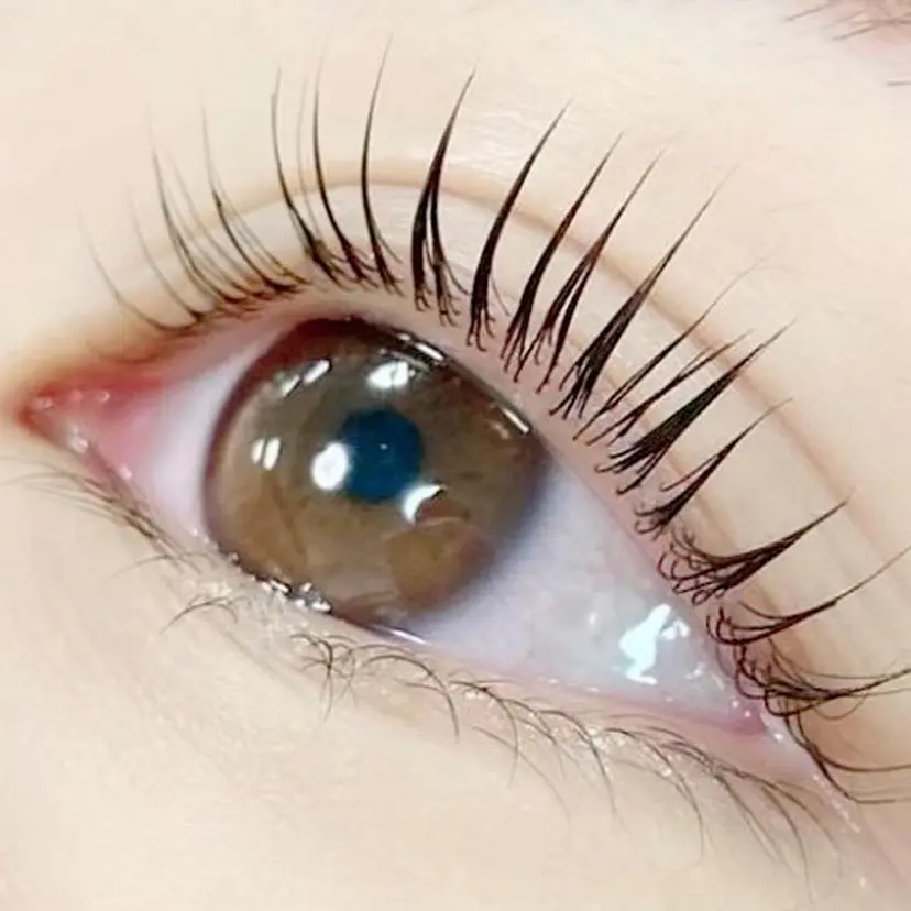 ベリーラッシュ アユの掲載