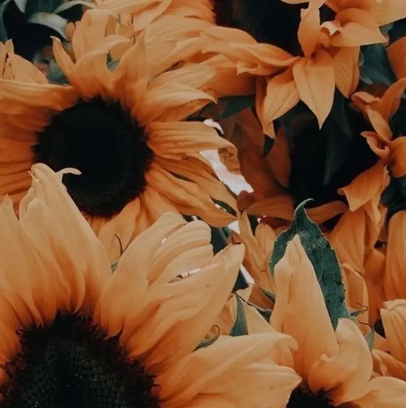 vim Lash CHIKA🫧の掲載