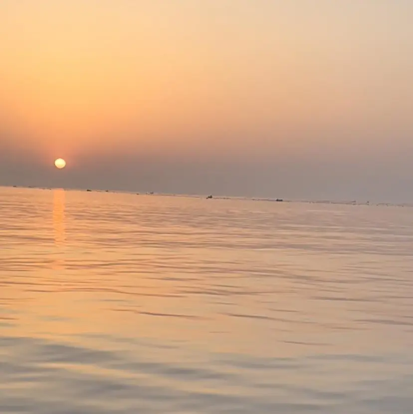 さいとう つかさの掲載