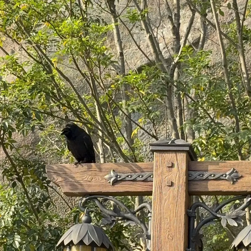 綱島☁️ 島崎愛里の掲載