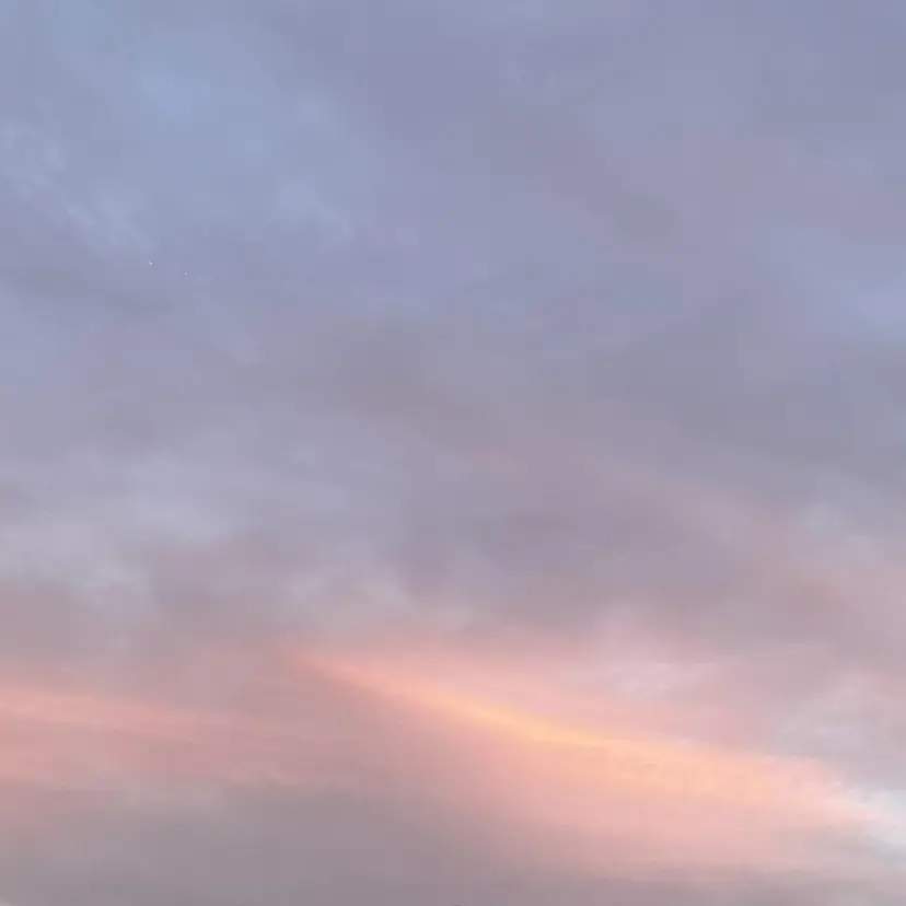 キタヤマ アオイの掲載