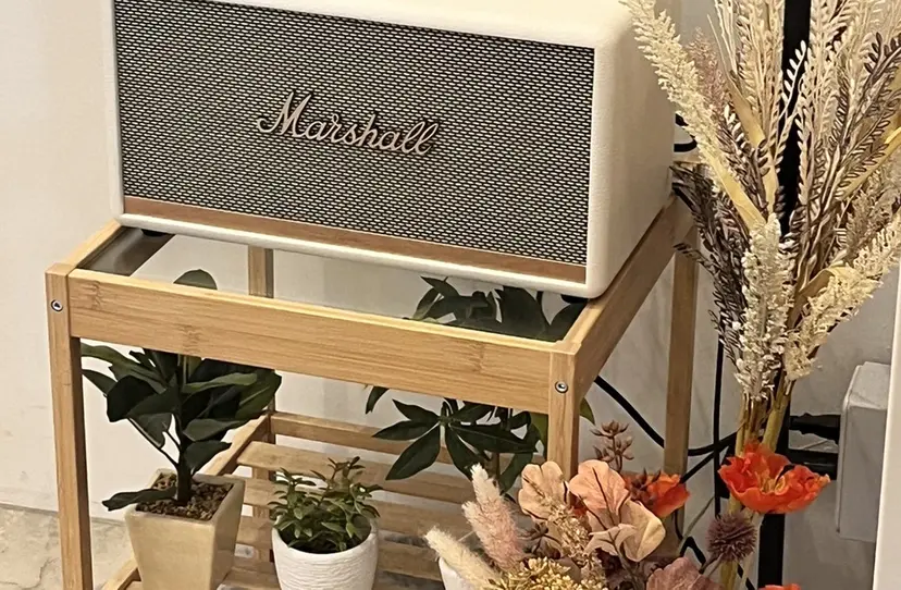 八木 瑠奈の掲載