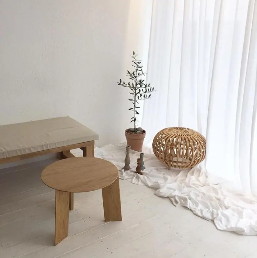 伊藤 愛里の掲載