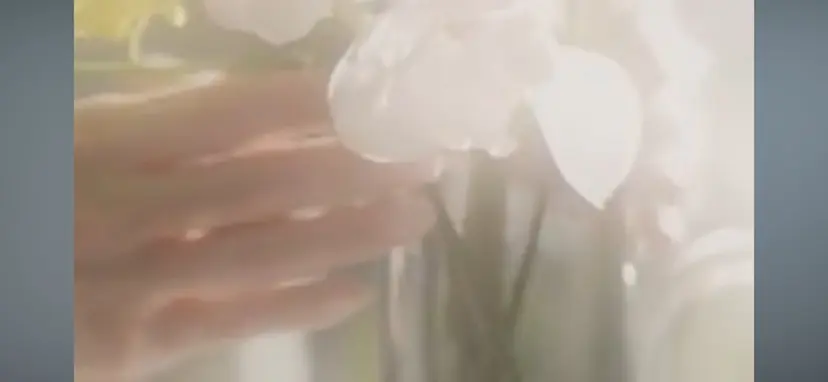 毛利 綾菜の掲載