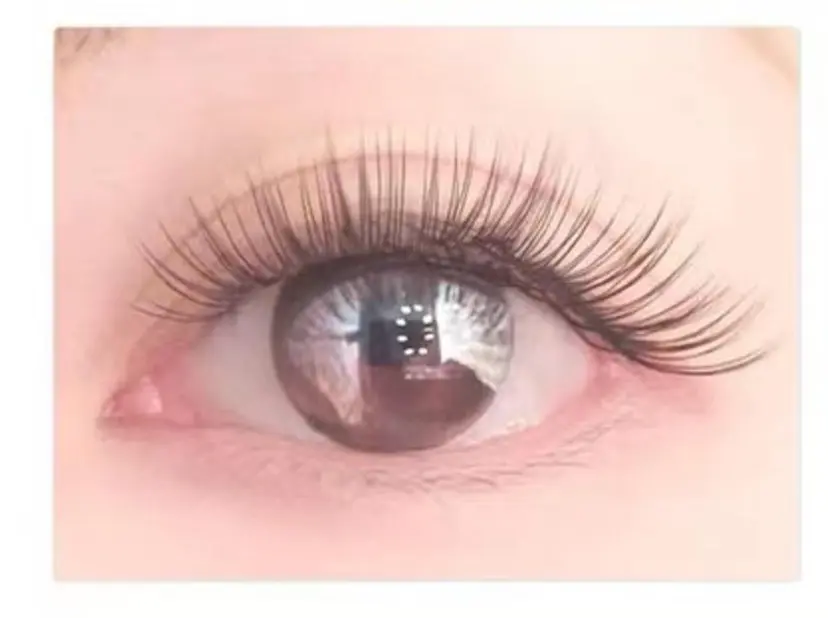 ナピュレ 西葛西の掲載