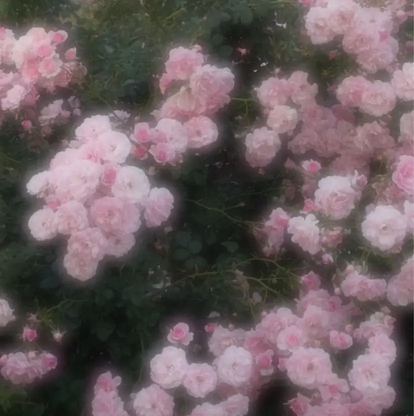 Bianca川越西口 Yasudoの掲載