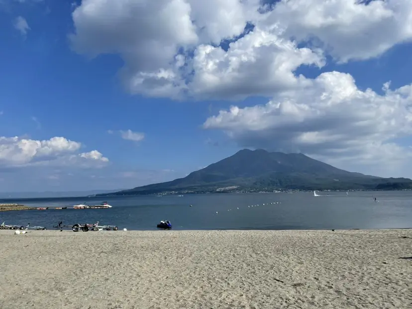 近藤 麻美の掲載