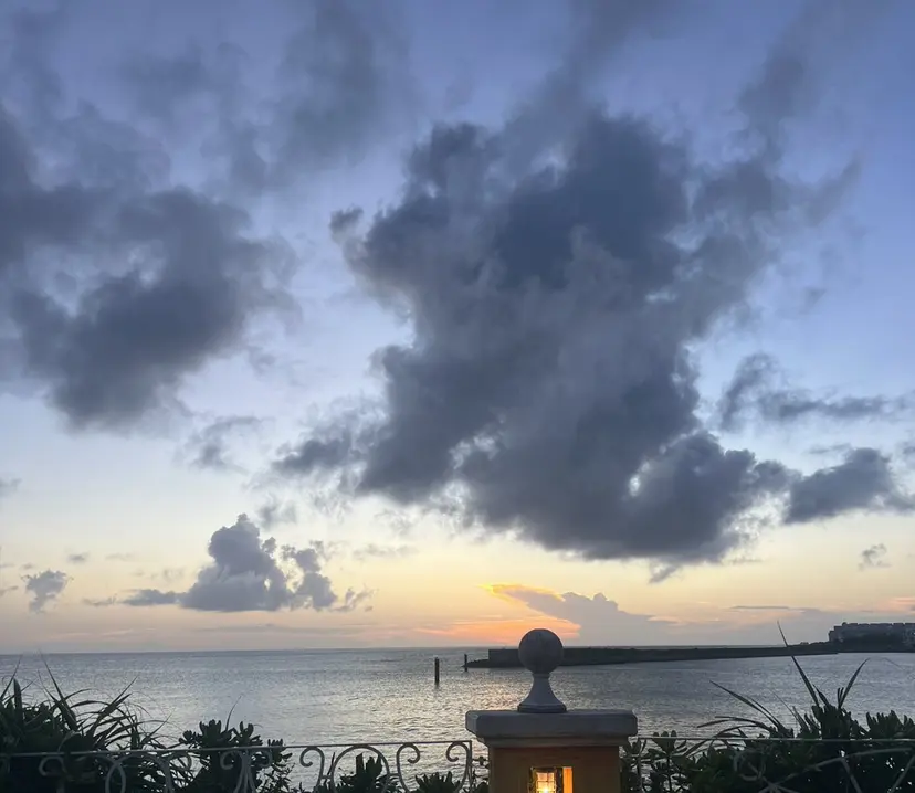 🌈🌏 Kokoネ🪐🌕の掲載