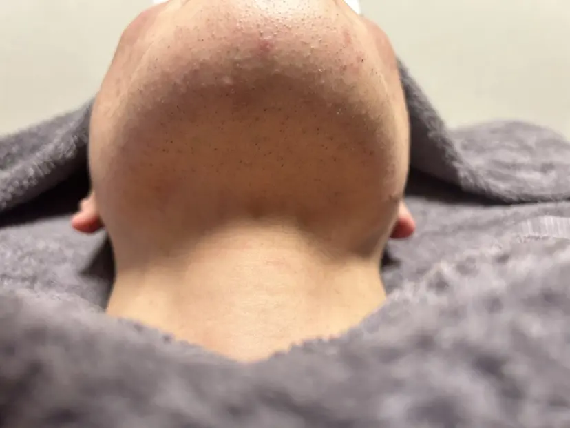 航 (わたる)の掲載