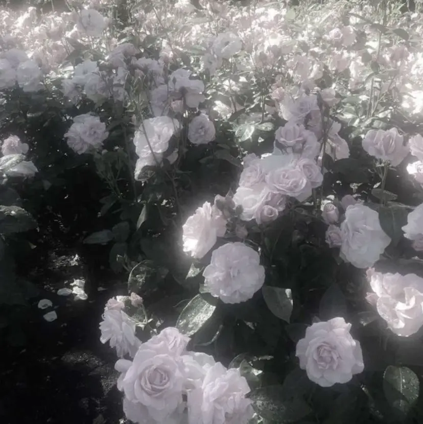 Neolive銀座/ MINAMI🎀の掲載