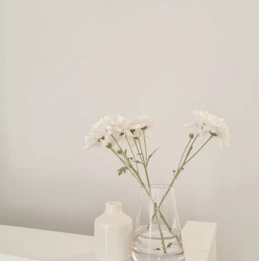 岡嶋 菜々子の掲載