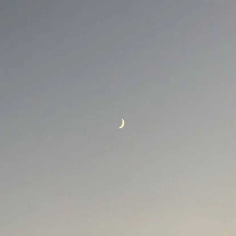 Mika 🍀 カラーモデル募集中の掲載