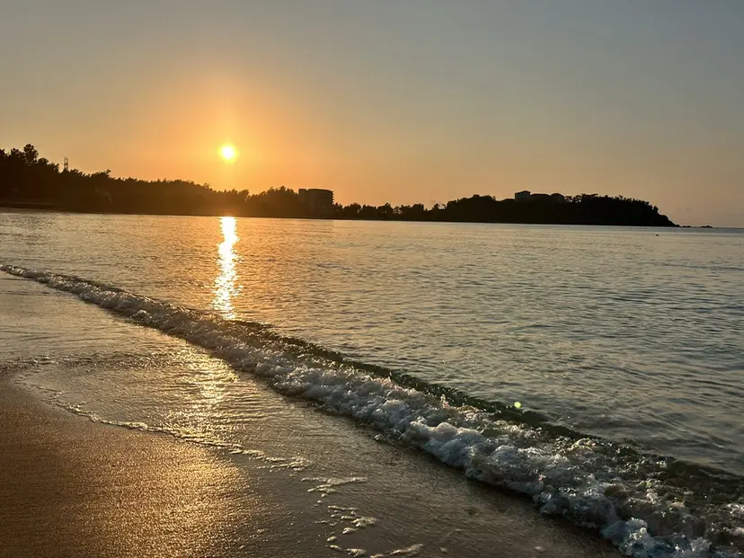 F & T eyelashの掲載