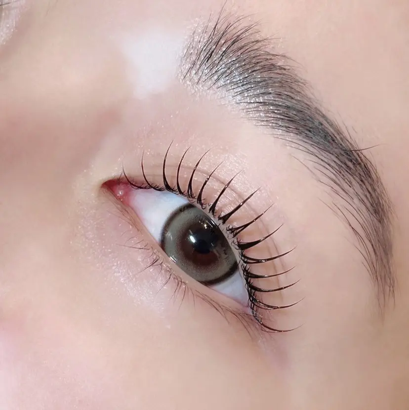 TOPBROW 一愛の掲載