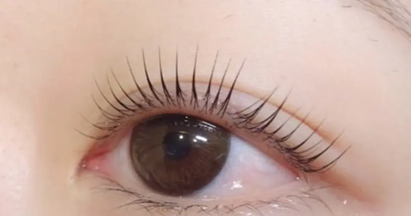 Lily Roseスタッフ一同の掲載