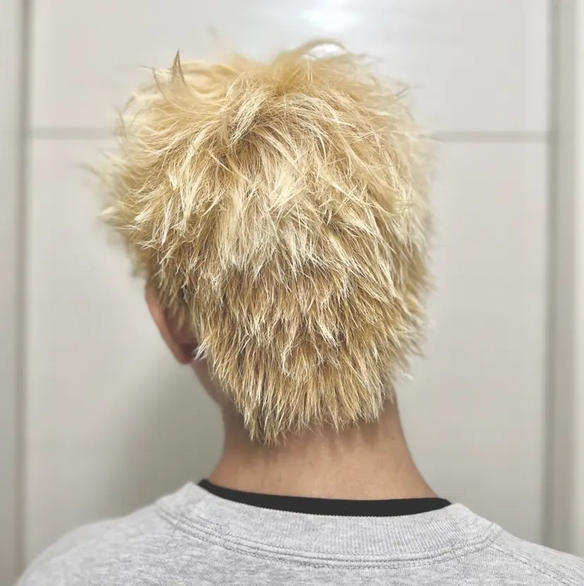 HIKARIS /eishoの掲載