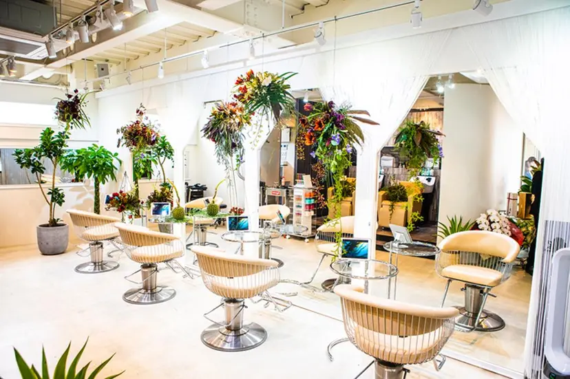 Watai salonの掲載