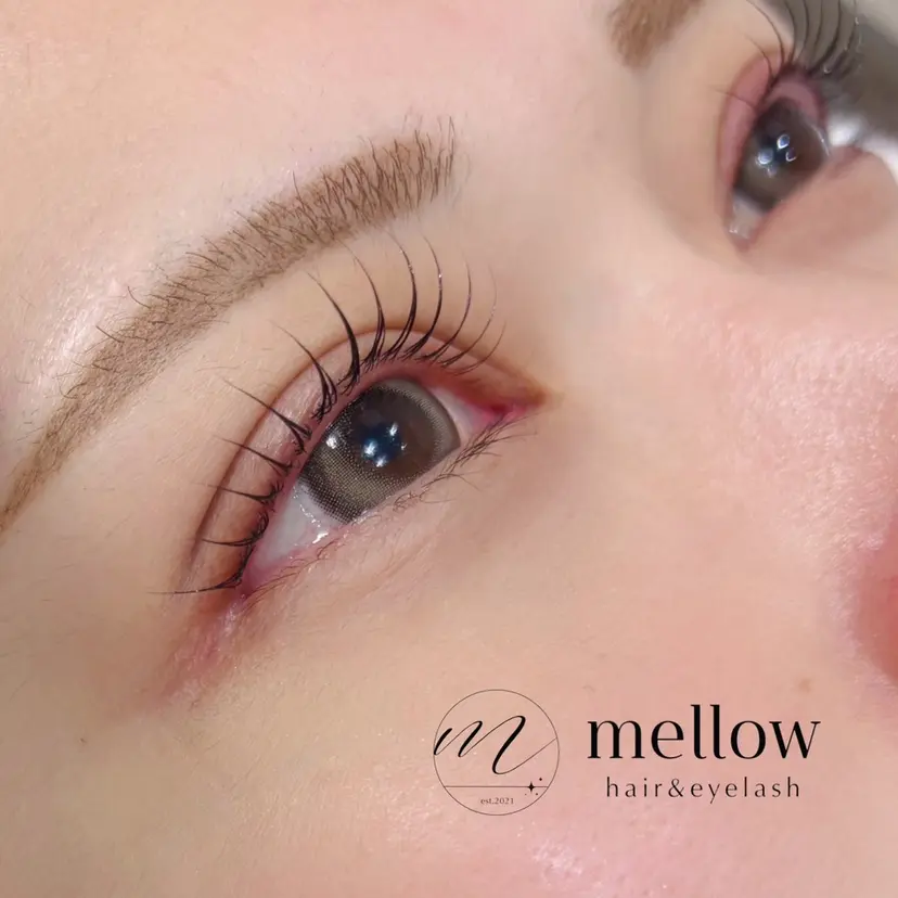 mellow ウエムラの掲載