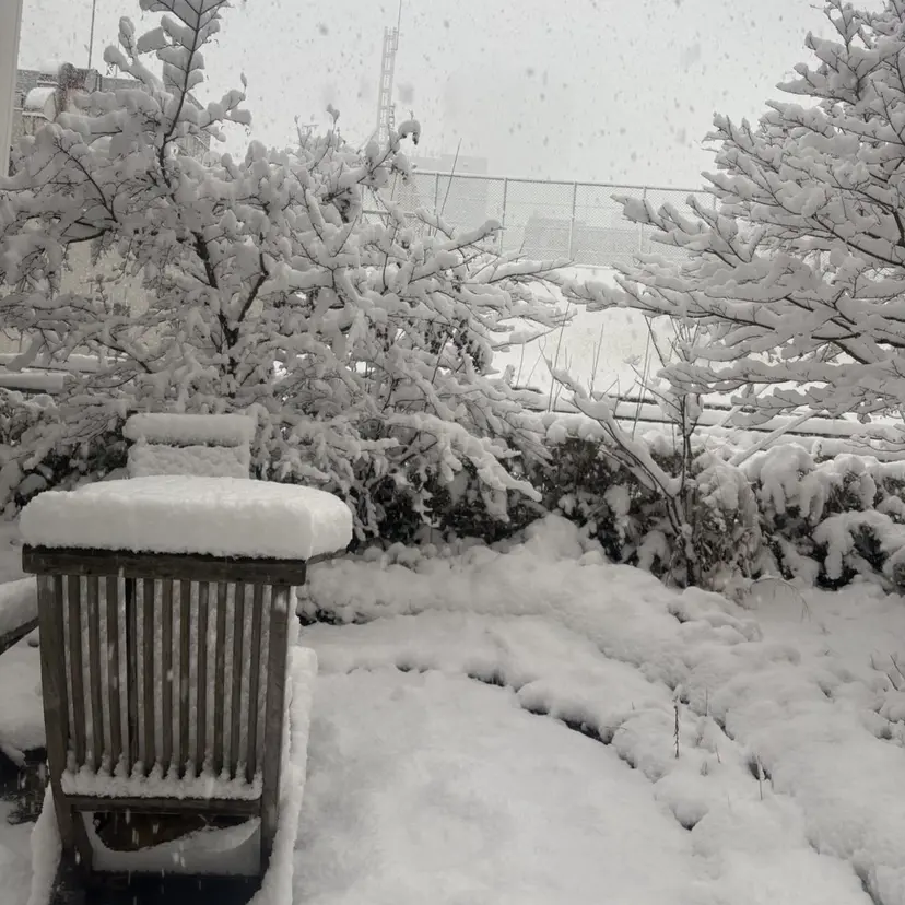 岩下 桃奈の掲載