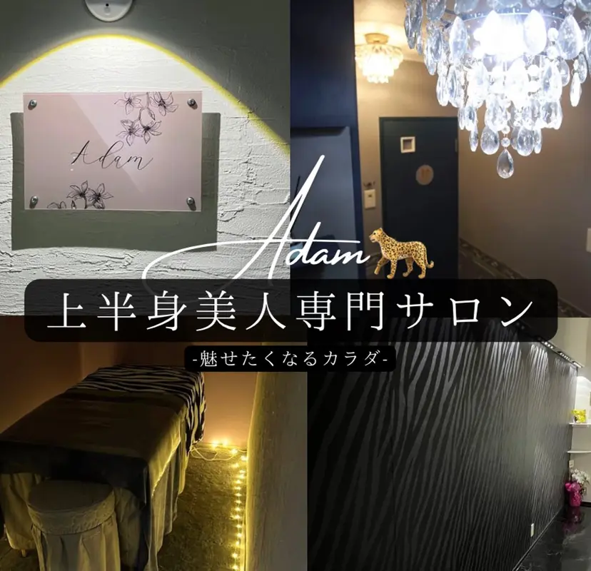 Adam 上半身美人の掲載