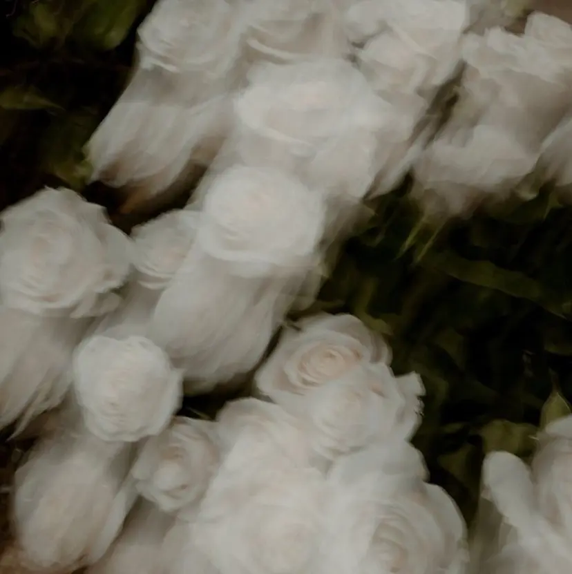 soi.__ aikaの掲載