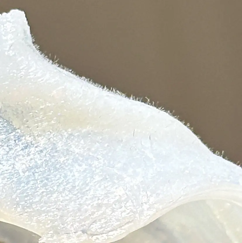 佐藤 まきの掲載