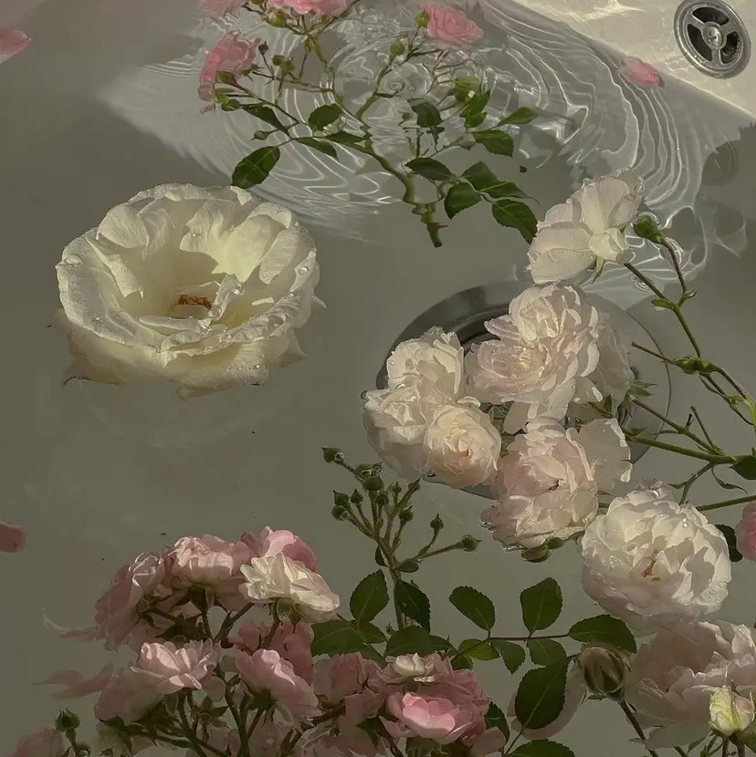 nerine博多 mizuhoの掲載