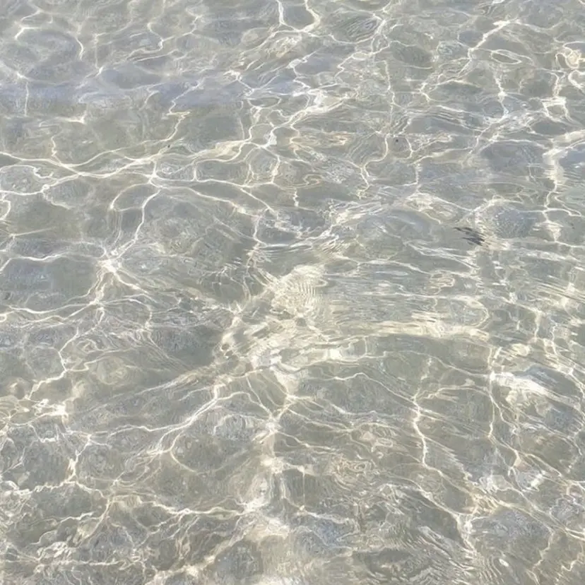 𝗸𝗮𝗿𝗶𝗻 ☯️の掲載