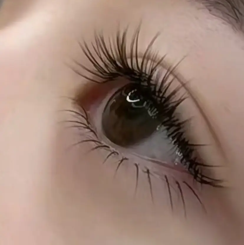 Yosora salonの掲載