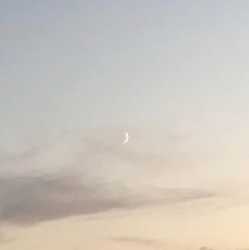 眉毛専門店 🤍Riko🤍の掲載