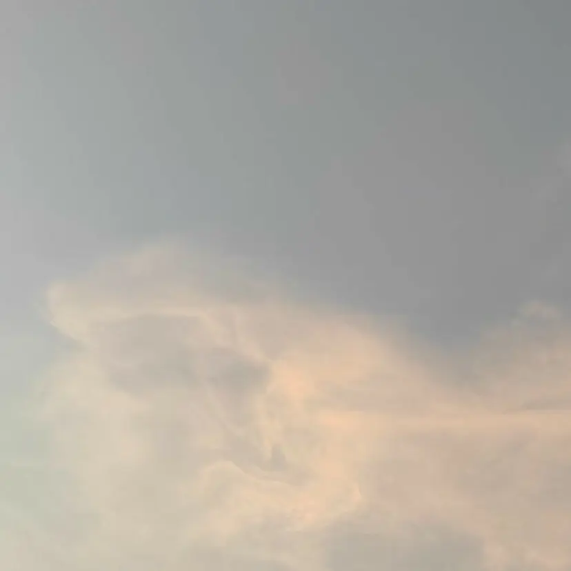 noa/ 渋谷の掲載