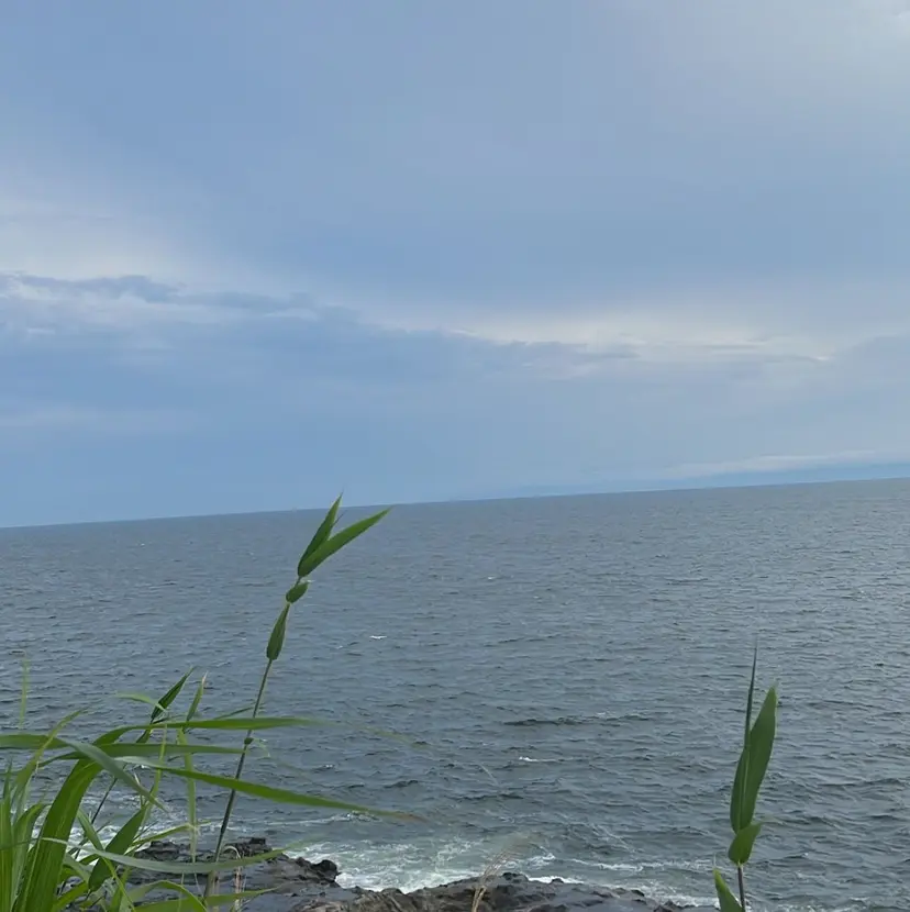 Cielo 🐈‍⬛ sawa 🐈‍⬛の掲載