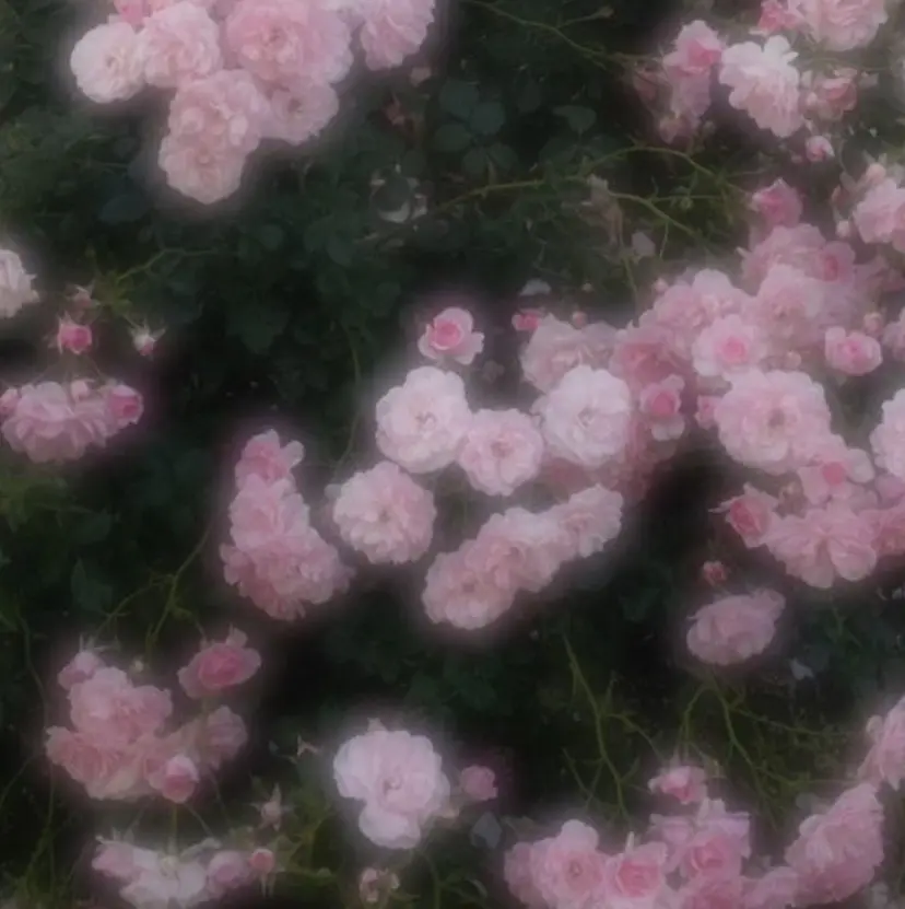 EYELA亀田店 永井の掲載