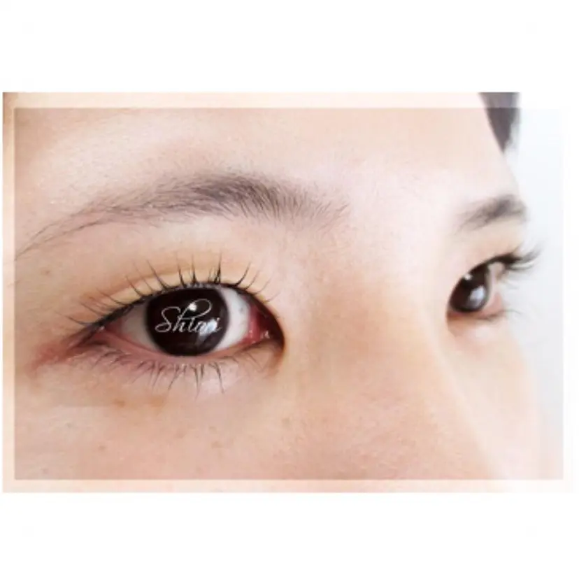 宮崎 詩織の掲載