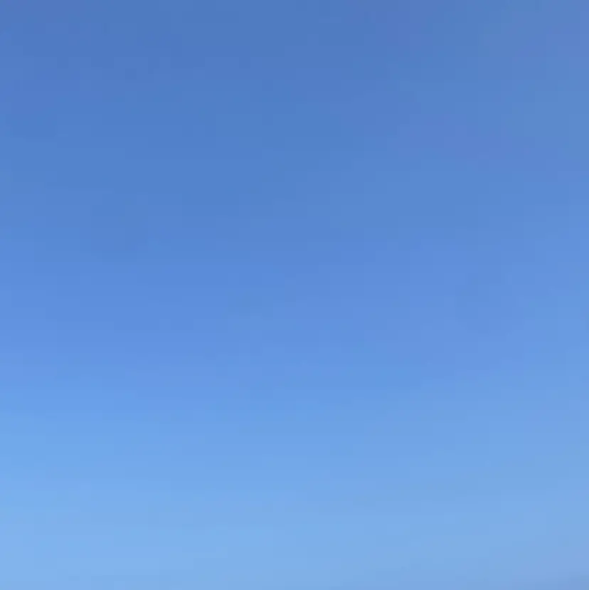 菜 摘の掲載