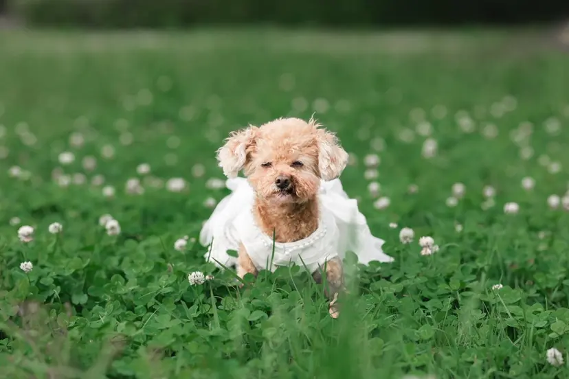 ♡𝑴𝒂𝒉𝒐♡ 𝒄𝒐𝒄𝒐の掲載