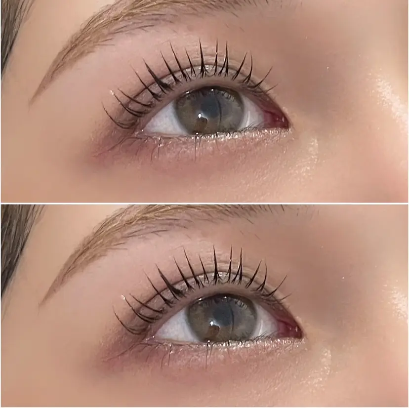 fufula mitsutakeの掲載