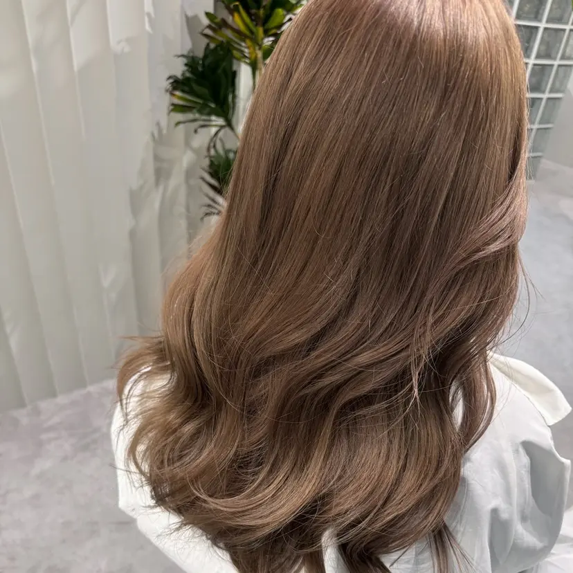 TOIRO ARISAの掲載